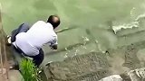大叔看到一条鱼溺水冒着自身危险不顾也要把它救上岸