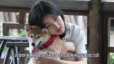 张子枫狂追多年的男星被曝出！粉丝从手机壳发现端倪，原来是他！