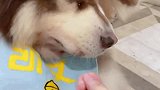 小棉袄贴心到哭了！