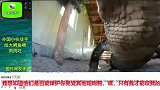 国外网友评论外国小伙给大鳄鱼喂肉吃鳄鱼反应很意外