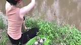 荒野美女：用牡蛎肉当饵在河边钓鱼，咬钩特厉害美女差点忙不过来