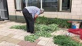农民王小：东北爷们下厨，婆媳2人刚开心，原来是个儿子做美食