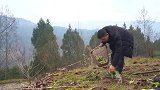 岳母下厨柴火鸡，猪头配牛肉四川卤味一锅煮，小厨3碗米饭嫌不够