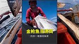 小男孩用金枪鱼当诱饵，钓到一堆值钱鱼，还抓到一条20斤的墨鱼