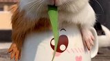 这节奏太好了