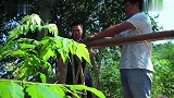 2斤鹌鹑蛋,四兄妹的吃相,太诱惑了