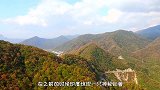 印度惊现“奇怪生物”，村民纷纷前去围观，专家：赶快撤退