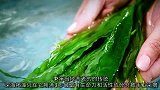 海肌源Oceana——赋予你净澈水凝的美丽肌肤