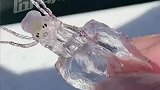 海洋里发现的奇特生物，这会不会和海蜇一个口感
