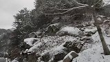 和同事去万青老家，途中美女还在雪里捡个好吃的，到家就做农家饭