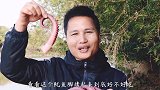超大份的鱿鱼脚，烤熟后香脆又Q弹，真的太好吃了