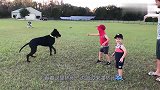 主人让狗狗自由活动，没想到这货追着小孩咬，这家伙真是皮痒欠揍