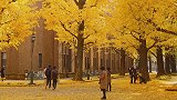 季节轮换 秋天到了