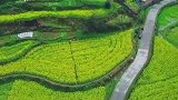世外桃源般的生活