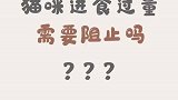 猫咪进食过量需要阻止吗？