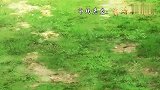 狐妖小红娘：王富贵说我们都可以长生不老了，没想到国宝竟然相信