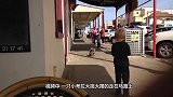 考拉大摇大摆走进超市，从容的挑选商品，惊呆路人：成精了