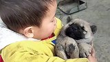 孩子抱着狗狗，这一刻他好开心喔