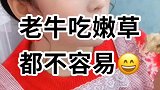 老牛吃嫩草都不容易