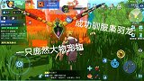 成功驯服枭羽龙，庞然大物宠物，全身都是毒气
