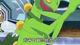 神奇宝贝：小智的甲贺忍蛙对战翔太的蜥蜴王，惊世之战！