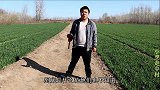 麦地边塌陷了个土坑，小伙坑底意外挖出个玉镯子，这运气可真好