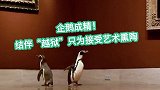 动物占领世界之企鹅成精：“越狱”只为去美术馆“看油画”！