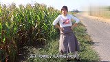 美女偷玉米偷上瘾，没想小伙假装成稻草人捉贼，真是太搞笑了
