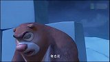 狗熊关键时刻犯困，进入冬眠模式，这下可为难强哥了