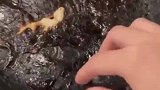 媳妇的高超技艺，老锅变新锅