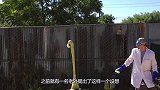 被困在4米的深坑，不借助工具如何徒手逃脱？看完觉得智商被碾压
