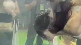 水族馆鱼缸里的美人鱼来回游供人观看