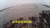 前打钓鱼，浅滩钓黑鲷鱼，别小看这种地方，出来的都是巨物