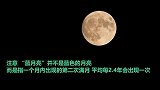又大又圆！“超级蓝月”现身夜空，土星合月同期上演