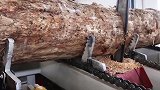 先进的胶合板加工厂，工人只要远远地看着就可以了