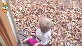 爸爸在房间到处找不到1岁宝宝，不料在院子看到这画面，瞬间傻眼