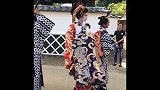 走进日本：日本的艺妓游街，原来是这个样子，我有点接受不了！
