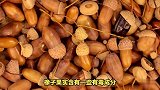 橡子果实能吃吗？