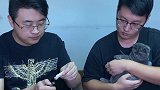 失败的原因在哪呢
