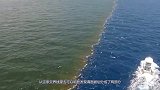 同样是海水，为什么竟然还有交汇处的海水不能融合？