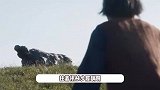 杨幂新剧真豁得出去，老年妆造太真实让人认不出，可塑造性太强了