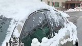 大雪过后男子车上多了一堆小鸭子