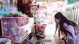 郎朗把吃过的黄瓜塞给吉娜，一旁吉娜下意识反应，够我看十遍