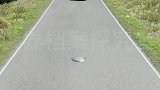 动画车祸模拟，请遵守交通规则，文明驾驶，安全出行