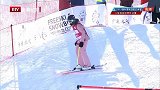 2019国际雪联世界杯 自由式滑雪决赛-全场录播