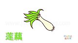 蔬菜简笔画大全，画一颗葱简笔画