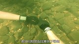 老外水下寻宝发现人类腿骨，当场傻眼，网友：倒吸一口凉气