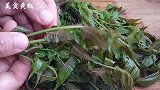 香椿芽不要炒鸡蛋也不要凉拌豆腐了，教你新做法，翠绿味纯，真香