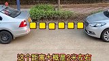 教练每天更新学车视频。