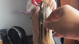 这个爸比不太聪明的亚子